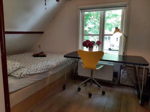 Attractive Holiday In Edam With Garden
