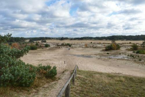 Posada Herberg De Zwaan Elspeet