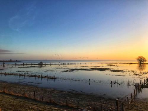 Sonnenpl�tzchen Direkt Am Ijsselmeer