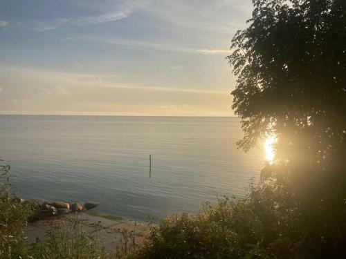 Sonnenpl�tzchen Direkt Am Ijsselmeer
