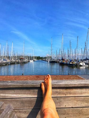 Sonnenpl�tzchen Direkt Am Ijsselmeer