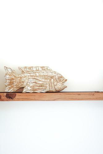 Kelp