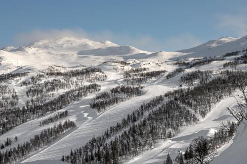 Hemsedal-toppen Av Skarsnuten