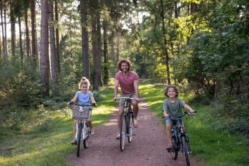 Vakantiepark Drentse Weelde