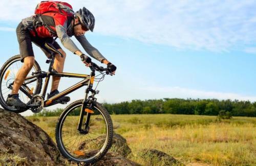 Vakantiepark Drentse Weelde