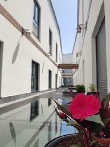 My Hotel
