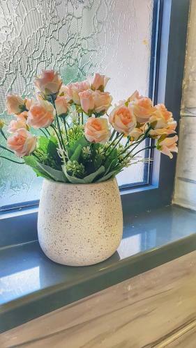 Albergue Motel Castello