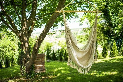 Villa Todor Boutique House