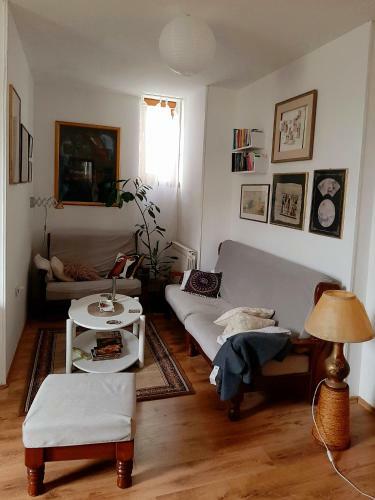 Lovely Bright Apartment With Backyard-renovated!
