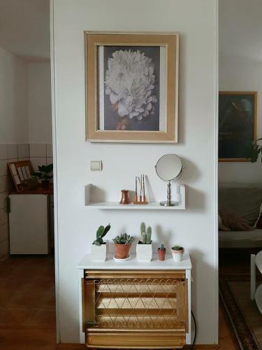 Lovely Bright Apartment With Backyard-renovated!