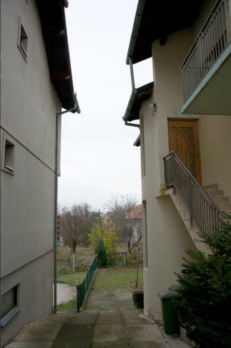 Lovely Bright Apartment With Backyard-renovated!