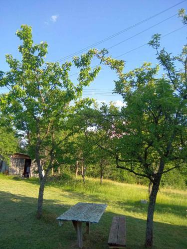 Smestaj Ljubanje
