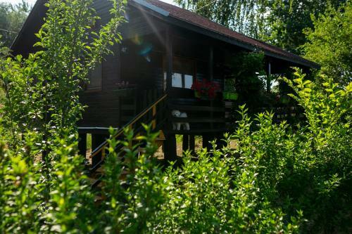 Marine House Makis