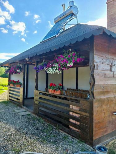 Case De Vacan?? �n Bucovina