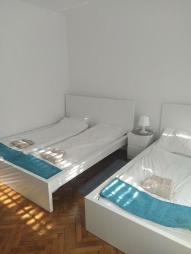 Lux Apartment In Novi Sad