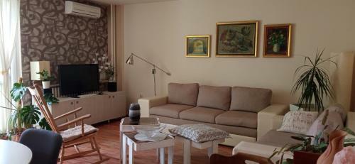 Branysol Apartman