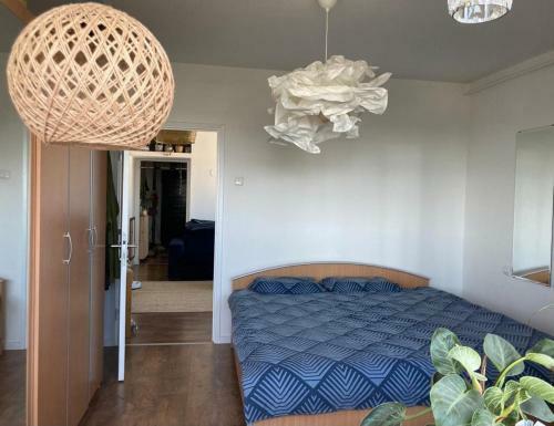 Nirvana Petrovaradin Fortress View Liman Apartment
