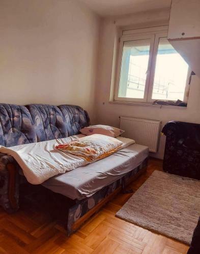 Apartment For Exit Festival