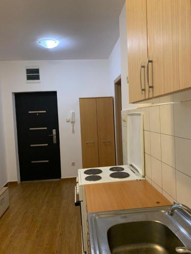 Apartment Paja