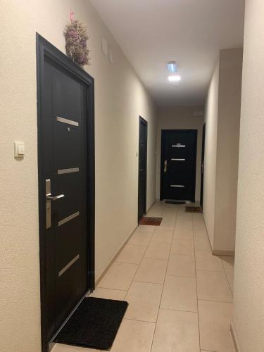 Apartment Paja