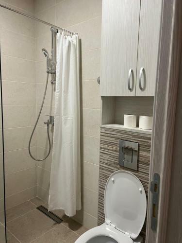 Apartment In Novi Sad