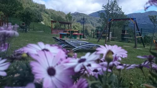 Apartamentos Rurales Balc�n Real
