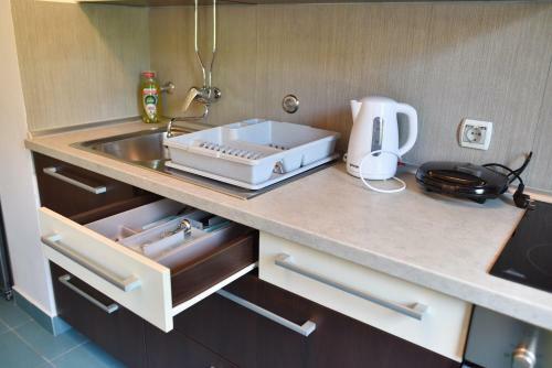 Apartment Milena With Free Garage