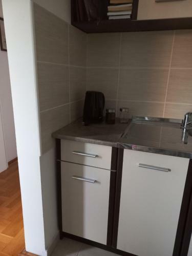 Spale One-bedroom Apartment