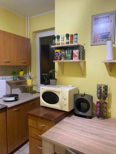 Turquoise Apartment