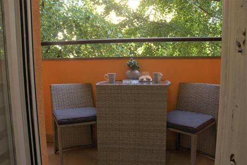 Novi Sad Apartman Tenigo