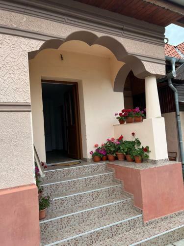 Casa Andrei