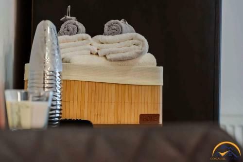 Hostal Conacul Doamnei