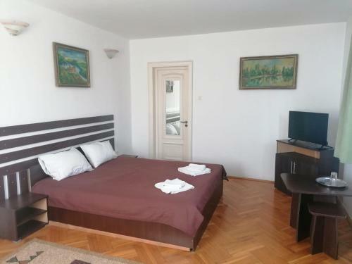 Hostal Pensiunea Cezara