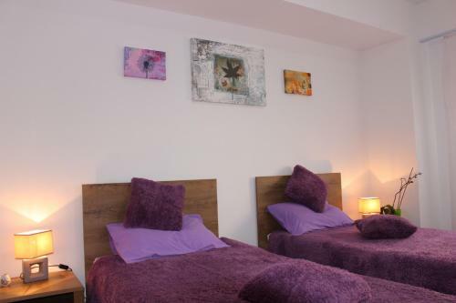 Still Apartament