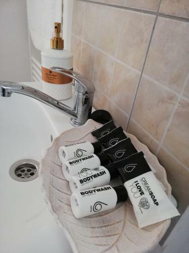 Apartamento Pensiunea Eden House