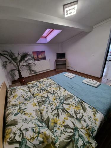 Apartament Corni?oiu