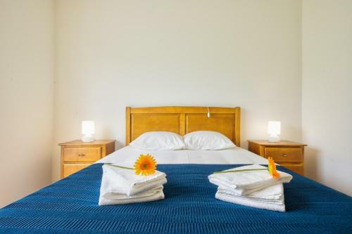 Apartamento Casa Dunas -barra - T2 Na Praia Da Barra
