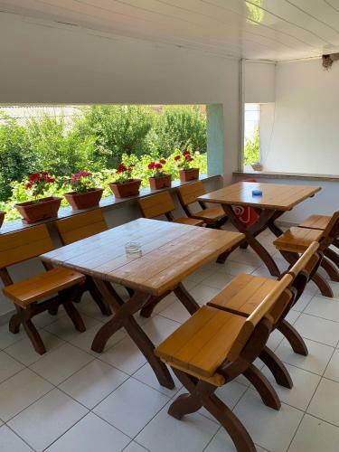 Hostal Casa Pestelui