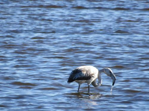 Hostal Aveiro House - Alojamento Local