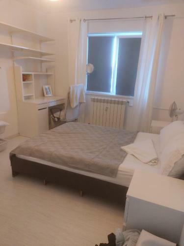 Apartamento Garsoniera Cozi