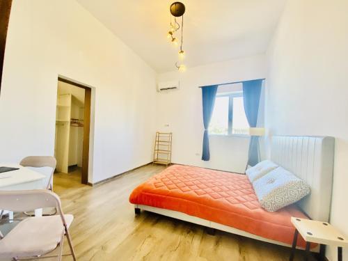 One Bedroom Apartment - Tomis 103