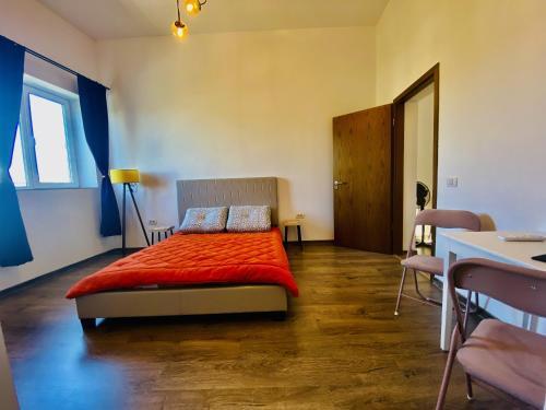 One Bedroom Apartment - Tomis 103