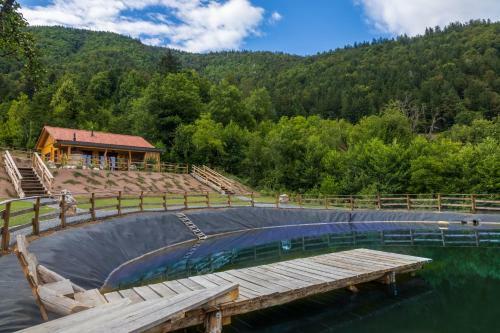Lake Cottage - Ko?a Ob Jezeru