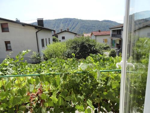Apartamento App Karolina