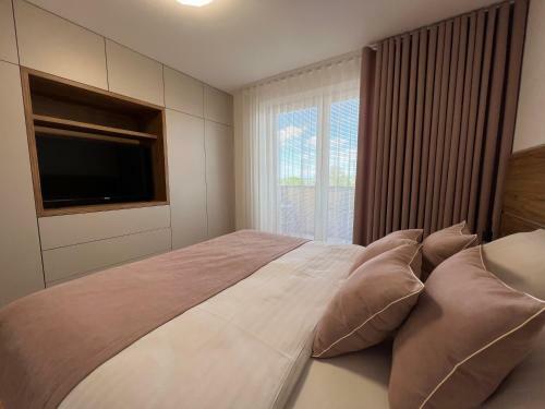Downtown Apartment Darinka