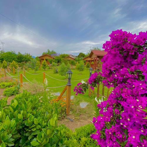 Bed & Breakfast Gel G�r Ah?ap Bungalov