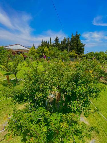 Bed & Breakfast Gel G�r Ah?ap Bungalov
