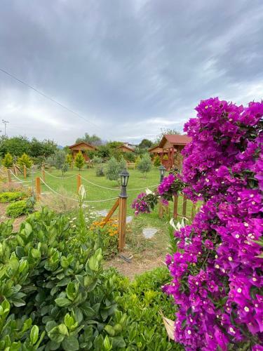 Bed & Breakfast Gel G�r Ah?ap Bungalov