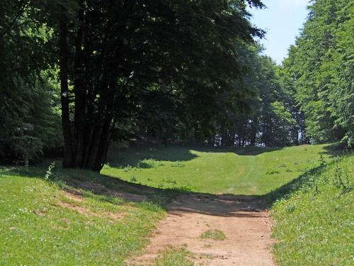 Bed & Breakfast Il Belvedere