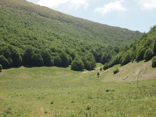 Bed & Breakfast Il Belvedere